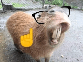 Capybara 7